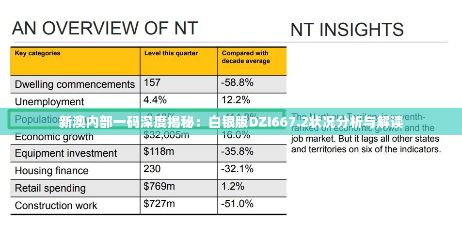 新澳内部一码深度揭秘：白银版DZI667.2状况分析与解读