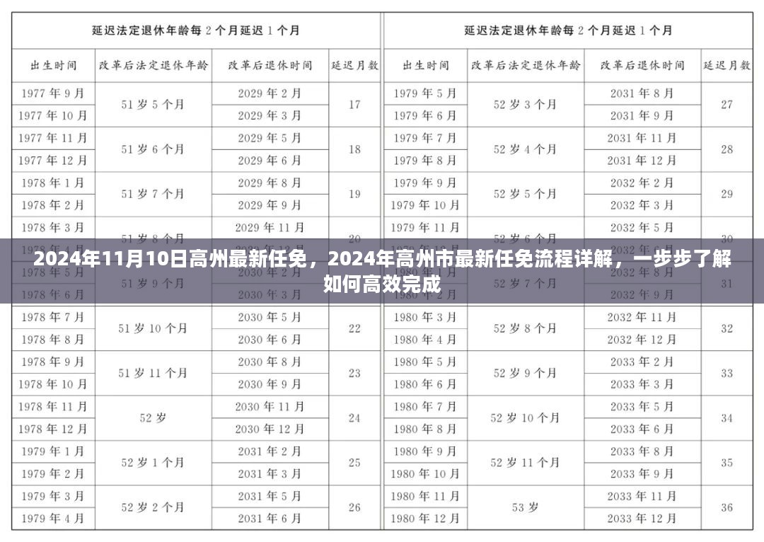 2024年高州市最新任免流程详解，高效完成任免的每一步