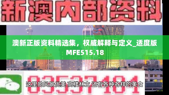 澳新正版资料精选集，权威解释与定义_适度版MFE515.18