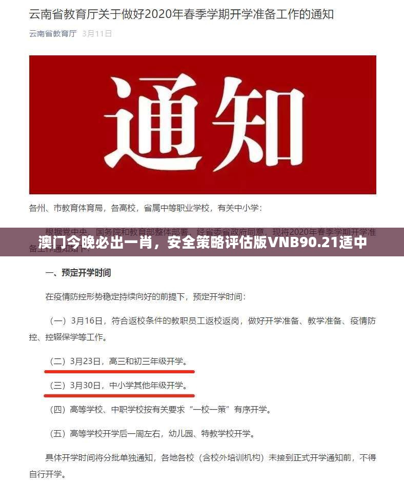 澳门今晚必出一肖，安全策略评估版VNB90.21适中