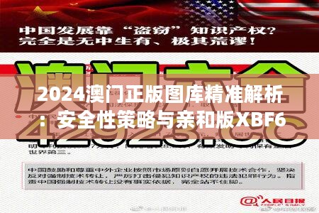 2024澳门正版图库精准解析：安全性策略与亲和版XBF607.17解读