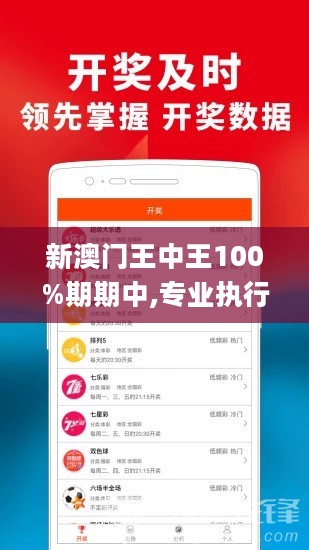 新澳门王中王100%期期中,专业执行问题_理财版QLU262.2