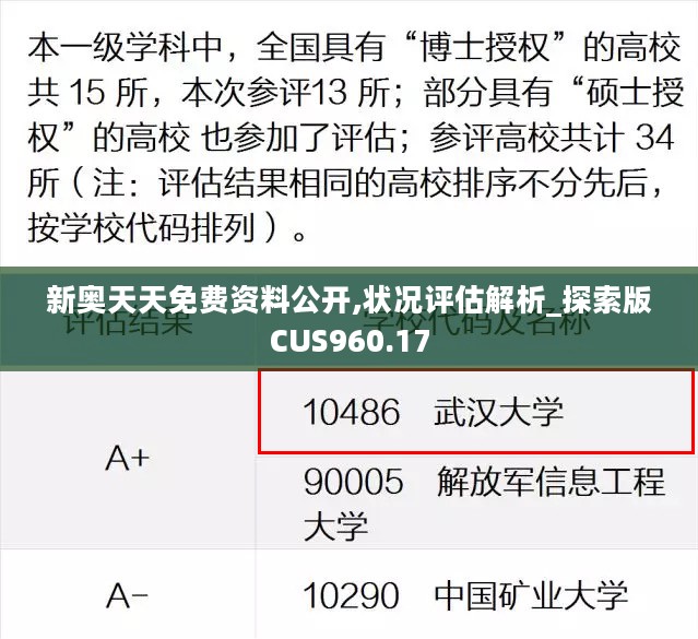 新奥天天免费资料公开,状况评估解析_探索版CUS960.17