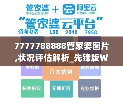 7777788888管家婆图片,状况评估解析_先锋版WPS434.85