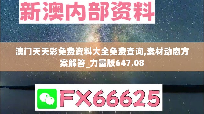 澳门天天彩免费资料大全免费查询,素材动态方案解答_力量版647.08