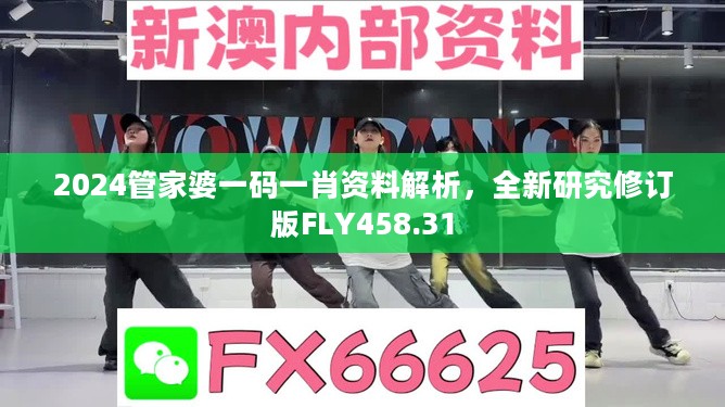 2024管家婆一码一肖资料解析，全新研究修订版FLY458.31