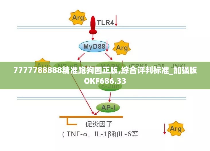 7777788888精准跑狗图正版,综合评判标准_加强版OKF686.33