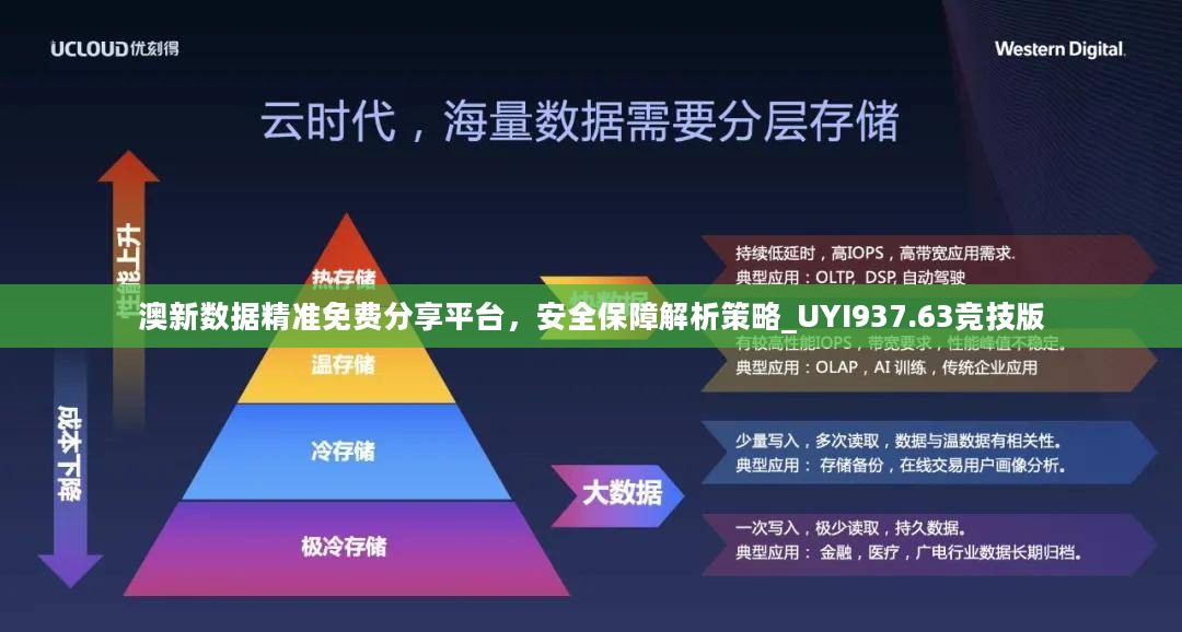 2024年11月12日 第49页