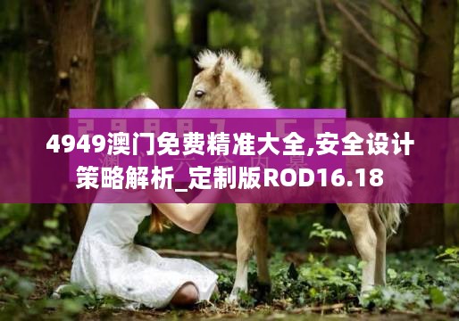 4949澳门免费精准大全,安全设计策略解析_定制版ROD16.18