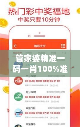 管家婆精准一码一肖100%准确，大小中特全面解析解答版MXI260.03