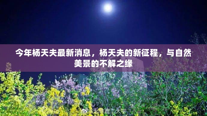 杨天夫新征程揭秘，与自然美景的不解之缘最新消息