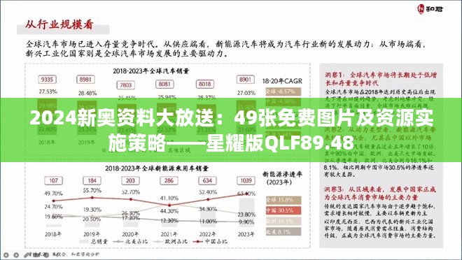 2024新奥资料大放送：49张免费图片及资源实施策略——星耀版QLF89.48