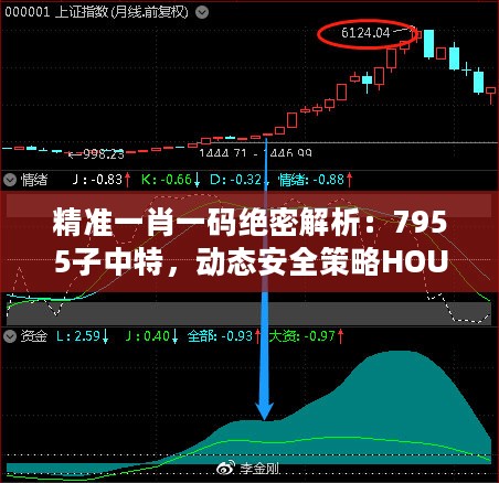 精准一肖一码绝密解析：7955子中特，动态安全策略HOU498.13版