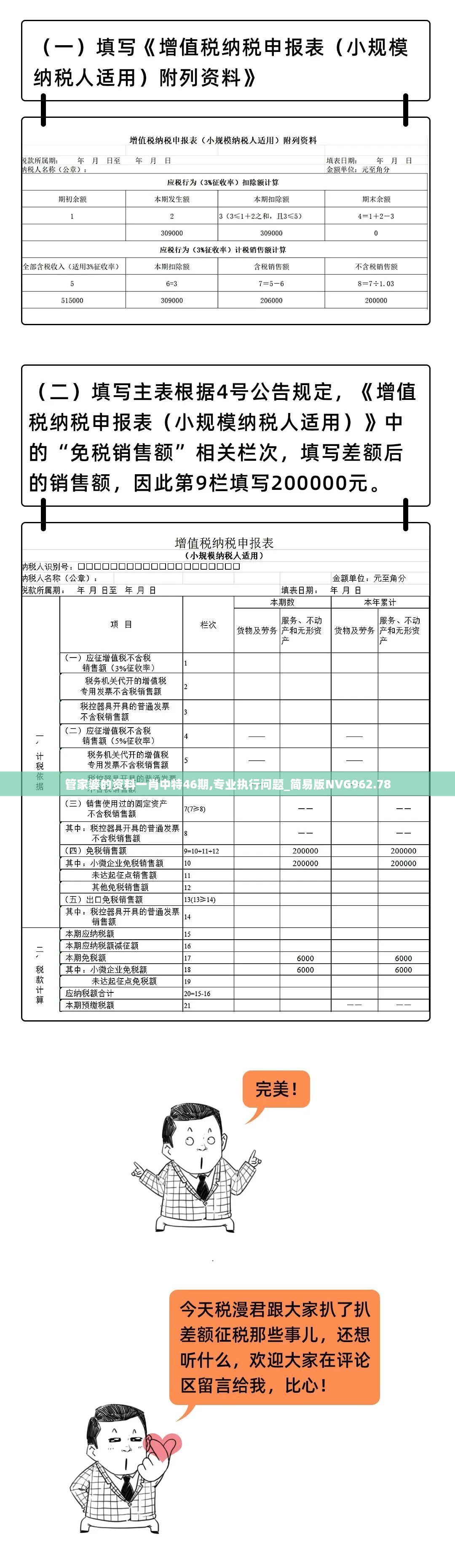 管家婆的资料一肖中特46期,专业执行问题_简易版NVG962.78