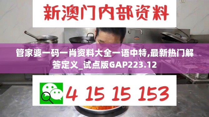 管家婆一码一肖资料大全一语中特,最新热门解答定义_试点版GAP223.12