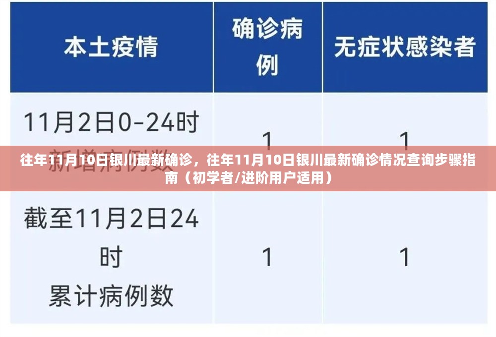 往年11月10日银川最新确诊情况及查询步骤指南（初学者与进阶用户适用）