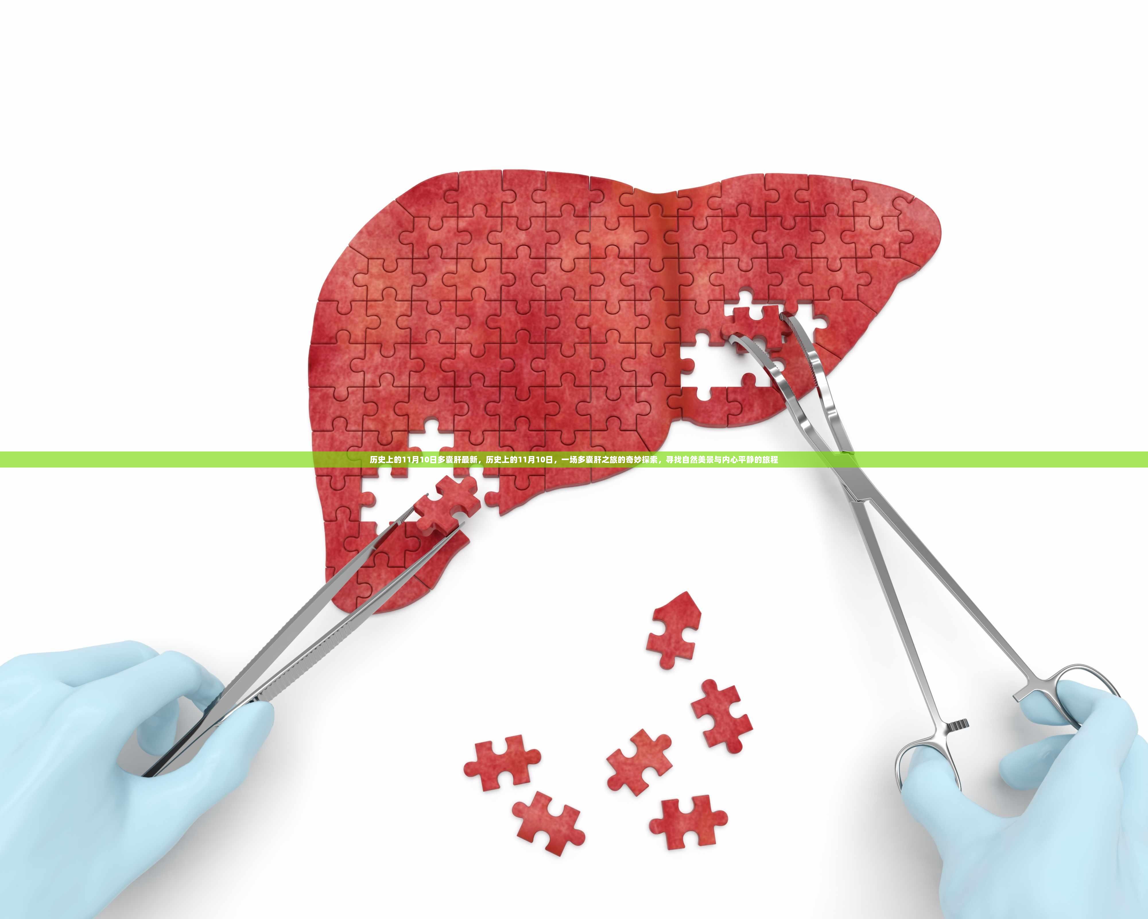 历史上的11月10日，多囊肝之旅的奇妙探索与心灵净化之旅