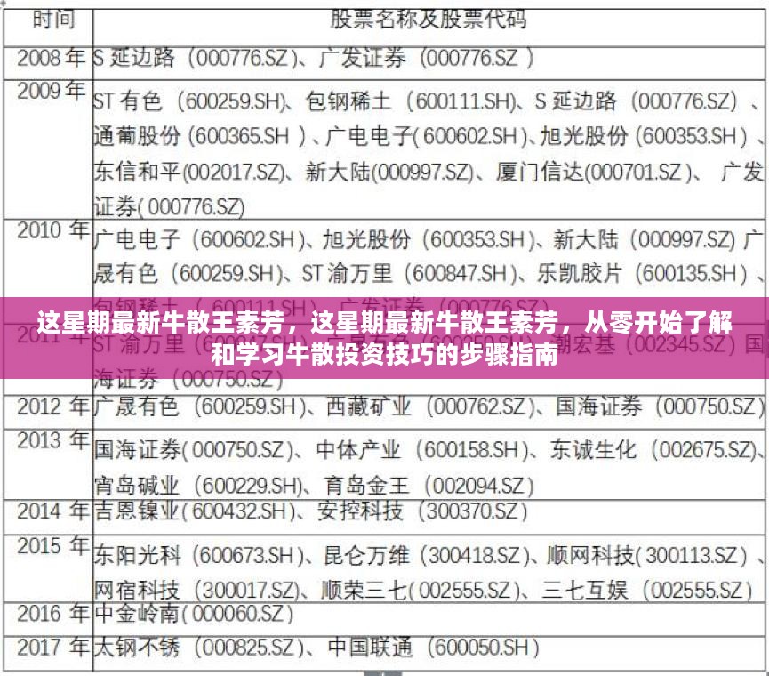 从零开始了解牛散投资技巧，跟随王素芳学习最新投资智慧