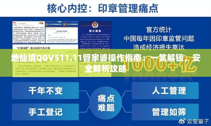 地仙境QGV511.11管家婆操作指南：一笑解锁，安全解析攻略