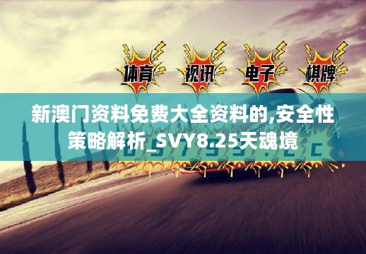 新澳门资料免费大全资料的,安全性策略解析_SVY8.25天魂境