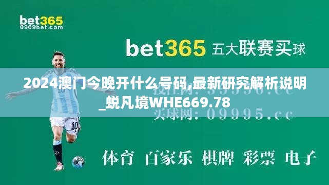 2024澳门今晚开什么号码,最新研究解析说明_蜕凡境WHE669.78