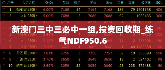 新澳门三中三必中一组,投资回收期_练气NDF950.6