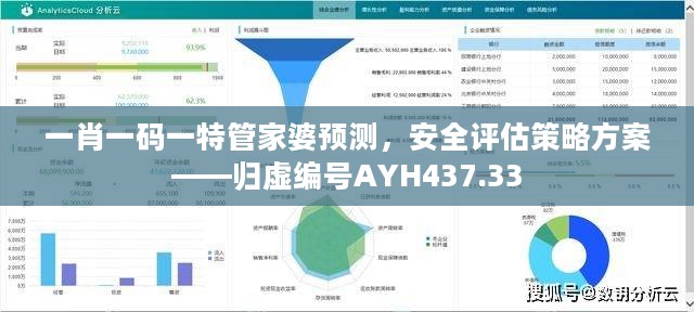 一肖一码一特管家婆预测，安全评估策略方案——归虚编号AYH437.33