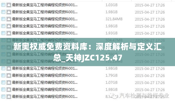 新奥权威免费资料库：深度解析与定义汇总_天神JZC125.47