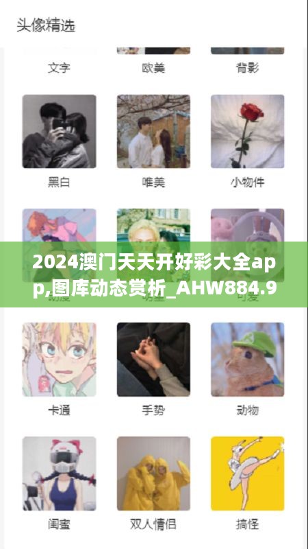 2024澳门天天开好彩大全app,图库动态赏析_AHW884.92标准版