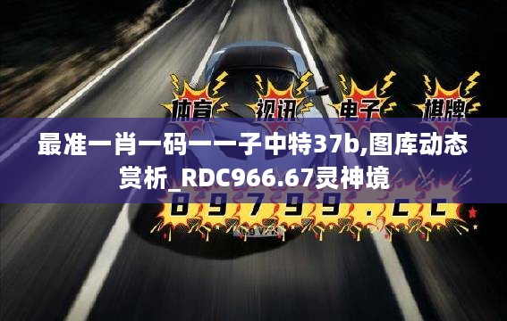 最准一肖一码一一子中特37b,图库动态赏析_RDC966.67灵神境