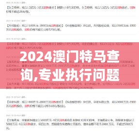 2024澳门特马查询,专业执行问题_通脉境RFO221.99