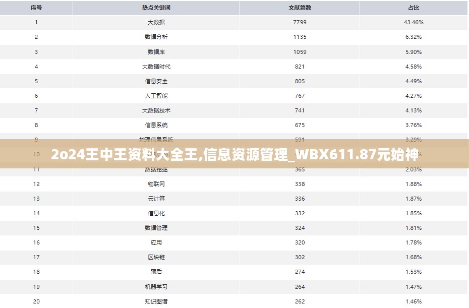 2o24王中王资料大全王,信息资源管理_WBX611.87元始神