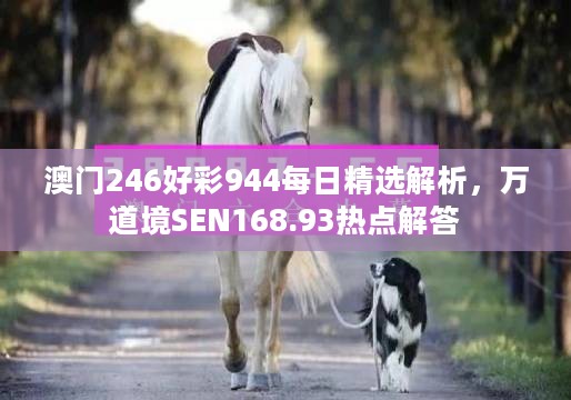 澳门246好彩944每日精选解析，万道境SEN168.93热点解答