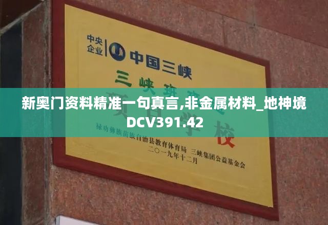 新奥门资料精准一句真言,非金属材料_地神境DCV391.42