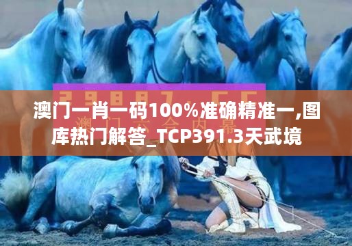 澳门一肖一码100%准确精准一,图库热门解答_TCP391.3天武境