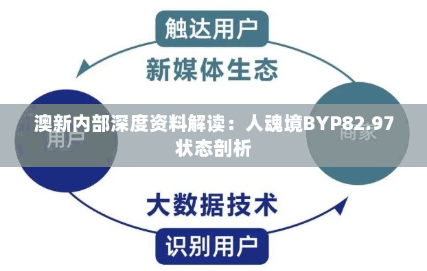 澳新内部深度资料解读：人魂境BYP82.97状态剖析