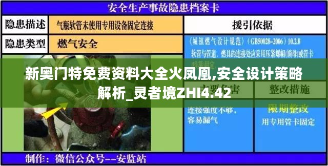 新奥门特免费资料大全火凤凰,安全设计策略解析_灵者境ZHI4.42