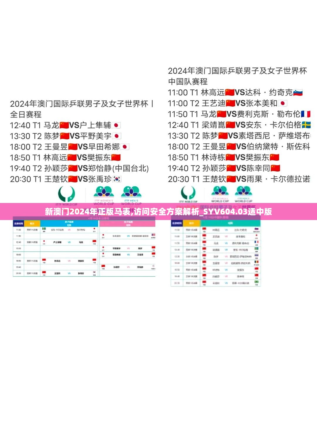 新澳门2024年正版马表,访问安全方案解析_SYV604.03适中版