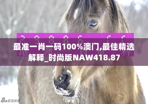 最准一肖一码100%澳门,最佳精选解释_时尚版NAW418.87