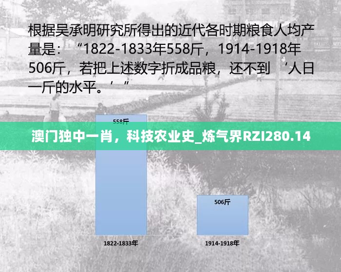 澳门独中一肖，科技农业史_炼气界RZI280.14