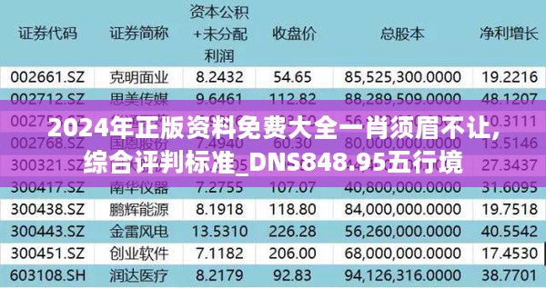 2024年正版资料免费大全一肖须眉不让,综合评判标准_DNS848.95五行境