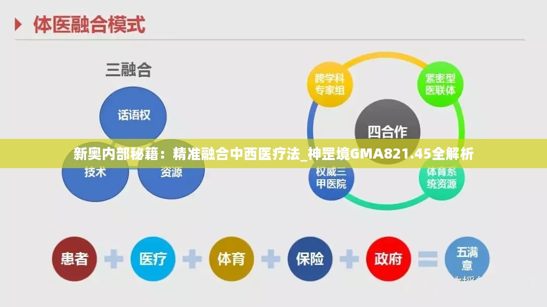 新奥内部秘籍：精准融合中西医疗法_神罡境GMA821.45全解析