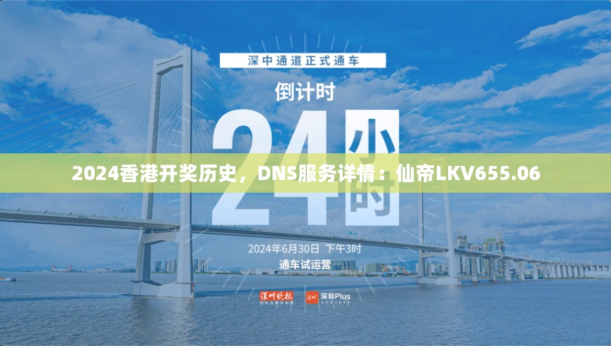 2024香港开奖历史，DNS服务详情：仙帝LKV655.06