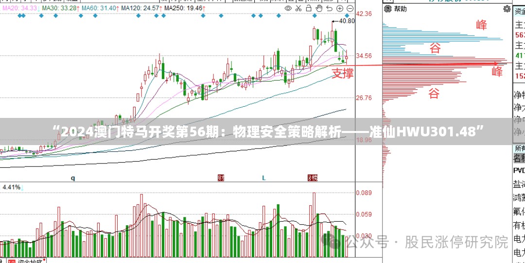 “2024澳门特马开奖第56期：物理安全策略解析——准仙HWU301.48”