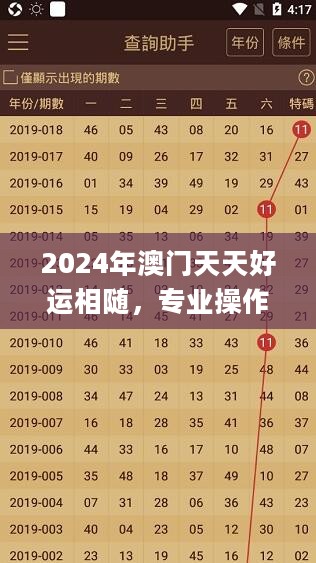 2024年澳门天天好运相随，专业操作解答_聚灵WZY524