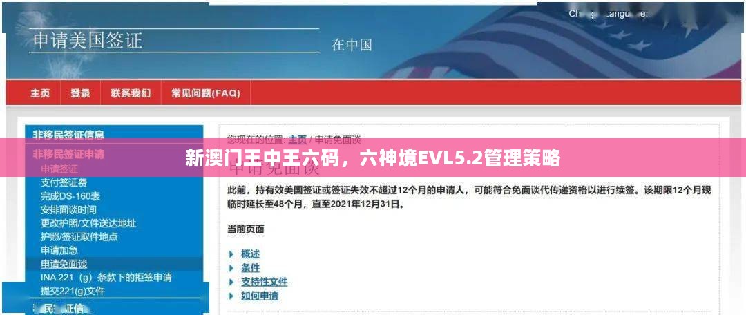 新澳门王中王六码，六神境EVL5.2管理策略