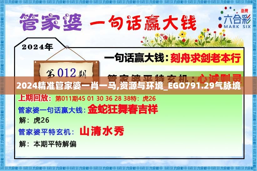 2024精准管家婆一肖一马,资源与环境_EGO791.29气脉境