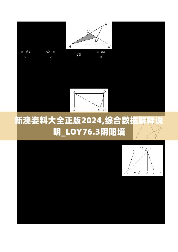 新澳姿料大全正版2024,综合数据解释说明_LOY76.3阴阳境