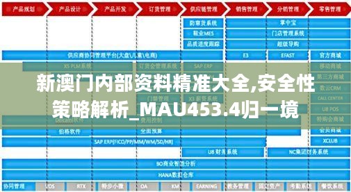 新澳门内部资料精准大全,安全性策略解析_MAU453.4归一境