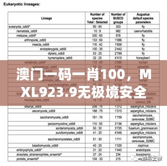 澳门一码一肖100，MXL923.9无极境安全评估策略方案